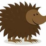Hedge Trading Hog
