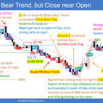 Daily Setups Emini Setups Chart Double Top Bear Trend but Close near Open
