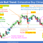 Daily Setups Small Pullback Bull Trend Exhaustive Buy Climax
