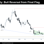 Bitcoin weekly bull reversal from final flag