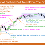 Brooks Encyclopedia Bear Trap Small Pullback Bull Trend From The Open