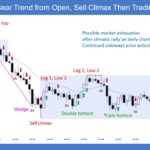 Emini 5-Min Bear Trend From Open Sell Climax Then Trading Range