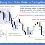 SP500 E-mini Mainly Limit Order Market in Trading Range Day