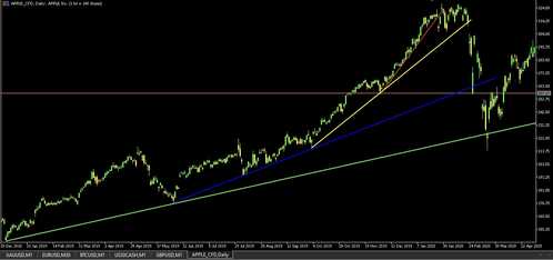 IMG 0742 IMG 0742